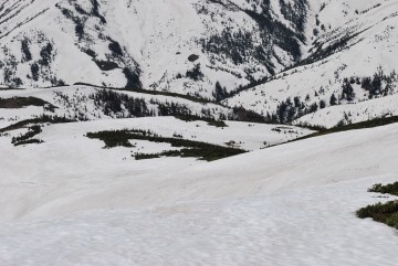 薬師平は、雪で真っ平。写真下の雪面を必死に直登したら、山荘への稜線に辿り着きます。あとは雪無しです。ガンバ！