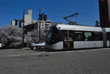 桜並木を横切るカッコ良さ！　富山が日本全国に誇れる、ポートラム型路面電車。いいでしょ(^'^)