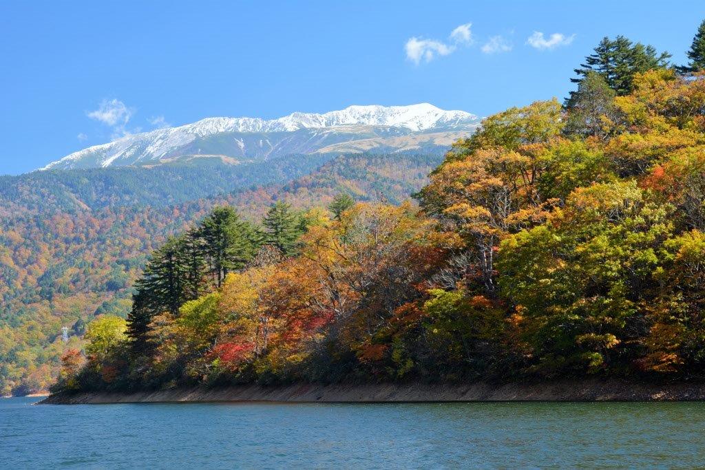 紅葉真っ盛りの有峰湖から「冠雪の薬師岳」。聞きしに勝る、三段紅葉。白、赤、緑‥きれい！