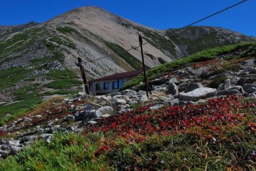 ウラシマツツジと小屋と薬師山頂・・いいねぇ～