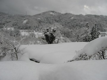 本当はこの下に常願寺の川が流れているんですが、雪の壁で見えないのです。