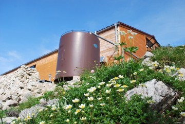 小屋の裏は、雪が融けてお花畑に早変わり。　不細工な大きいタンクは、大事な水瓶です(*^^)v小屋の裏は、雪が融けてお花畑に早変わり。　不細工な大きいタンクは、大事な水瓶です(*^^)v
