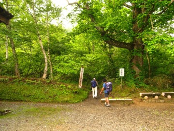 ７時４０分、さぁ、出発！　急がず、慌てず、一歩づつ前へ、前へと歩くのみ。
