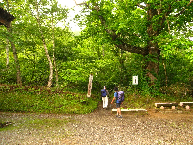 ７時４０分、さぁ、出発！　急がず、慌てず、一歩づつ前へ、前へと歩くのみ。