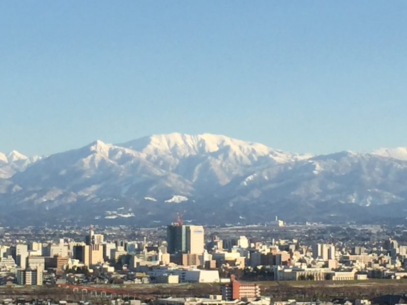 どうよ、このきれいな姿(^.^)